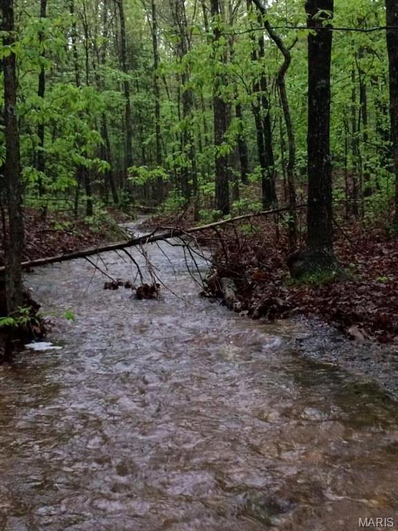 Photo 19 - Residential for sale – 651  Highway U   Salem, MO
