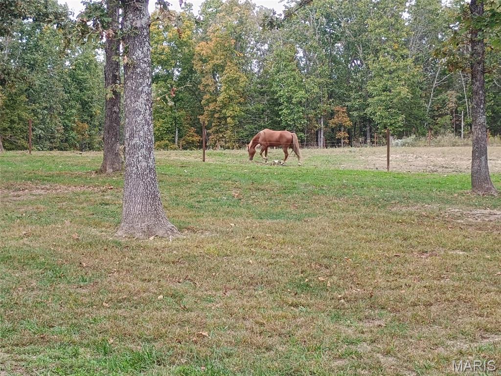 Photo 10 - Residential for sale – 651  Highway U   Salem, MO