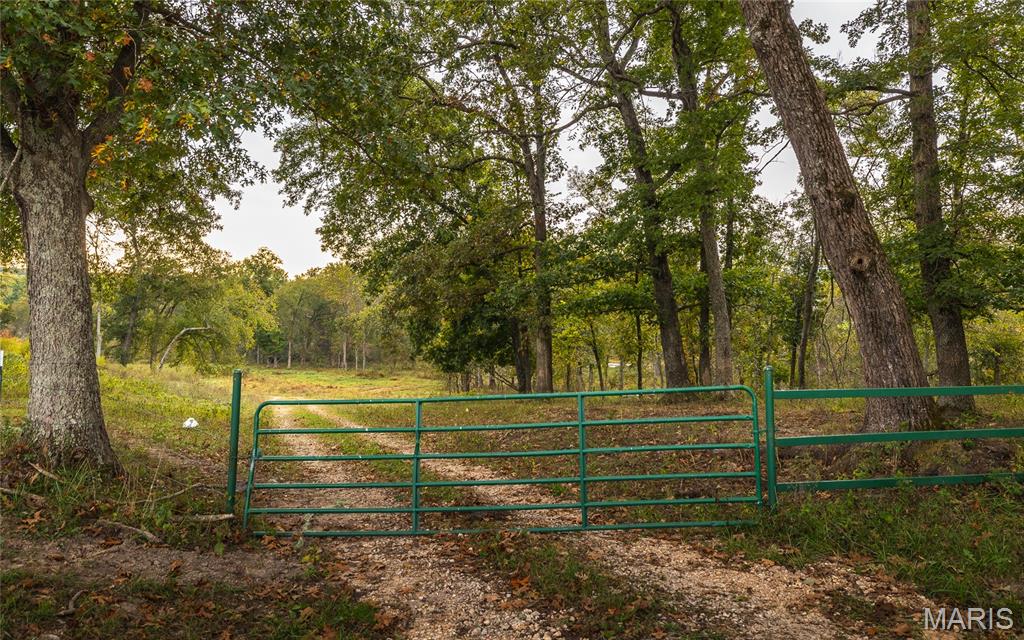 Photo 81 - Farm for sale – 1224  County Road 3165   Salem, MO