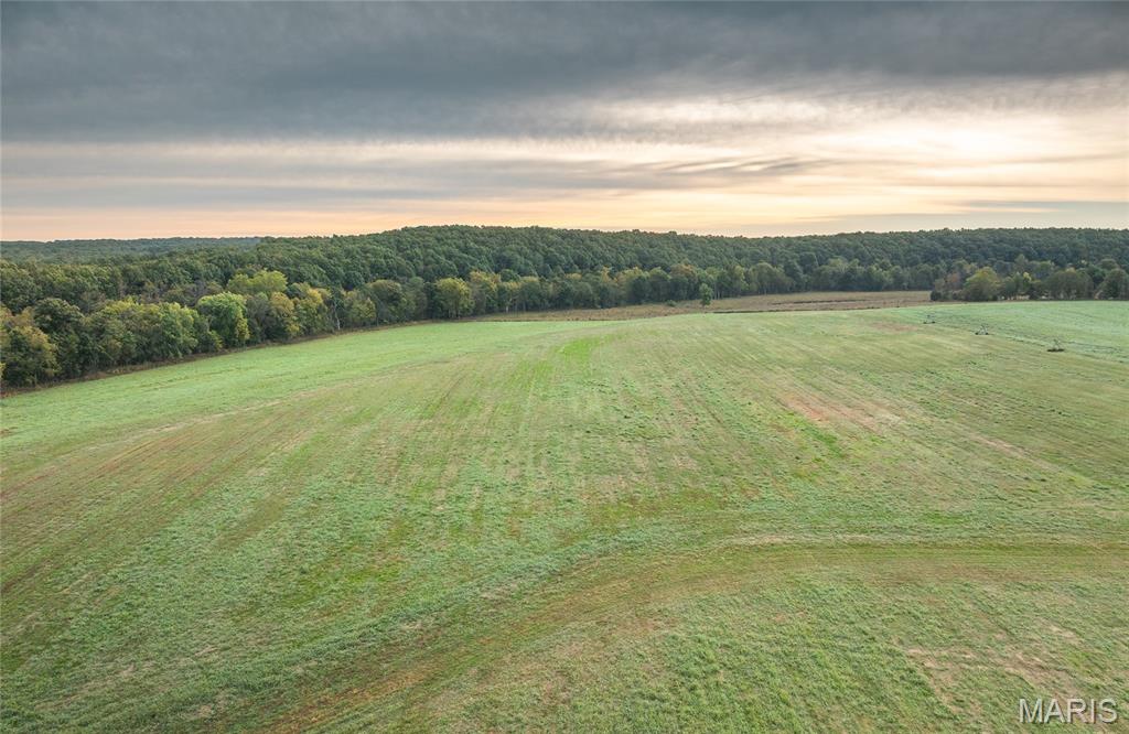Photo 94 - Farm for sale – 1224  County Road 3165   Salem, MO