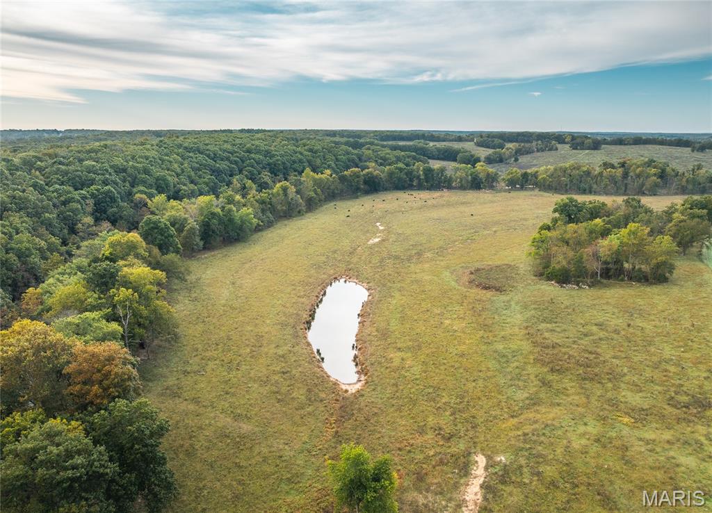 Photo 89 - Farm for sale – 1224  County Road 3165   Salem, MO