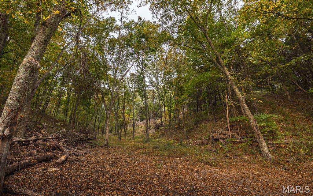 Photo 68 - Farm for sale – 1224  County Road 3165   Salem, MO