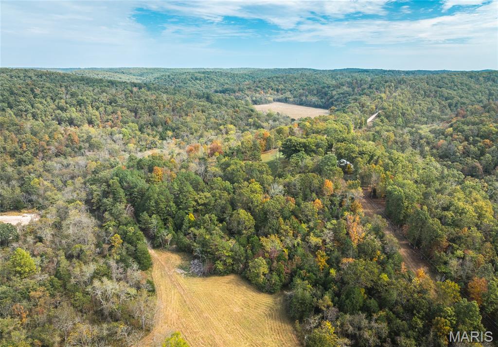 Photo 53 - Farm for sale – 1885  County Road 6255   Salem, MO