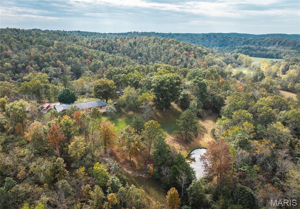 Photo 56 - Farm for sale – 1885  County Road 6255   Salem, MO