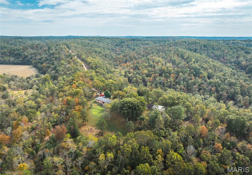 Photo 55 - Farm for sale – 1885  County Road 6255   Salem, MO