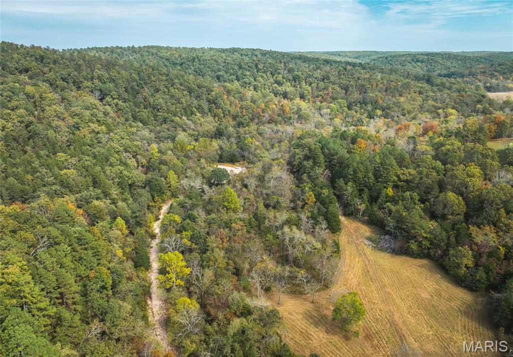 Photo 52 - Farm for sale – 1885  County Road 6255   Salem, MO