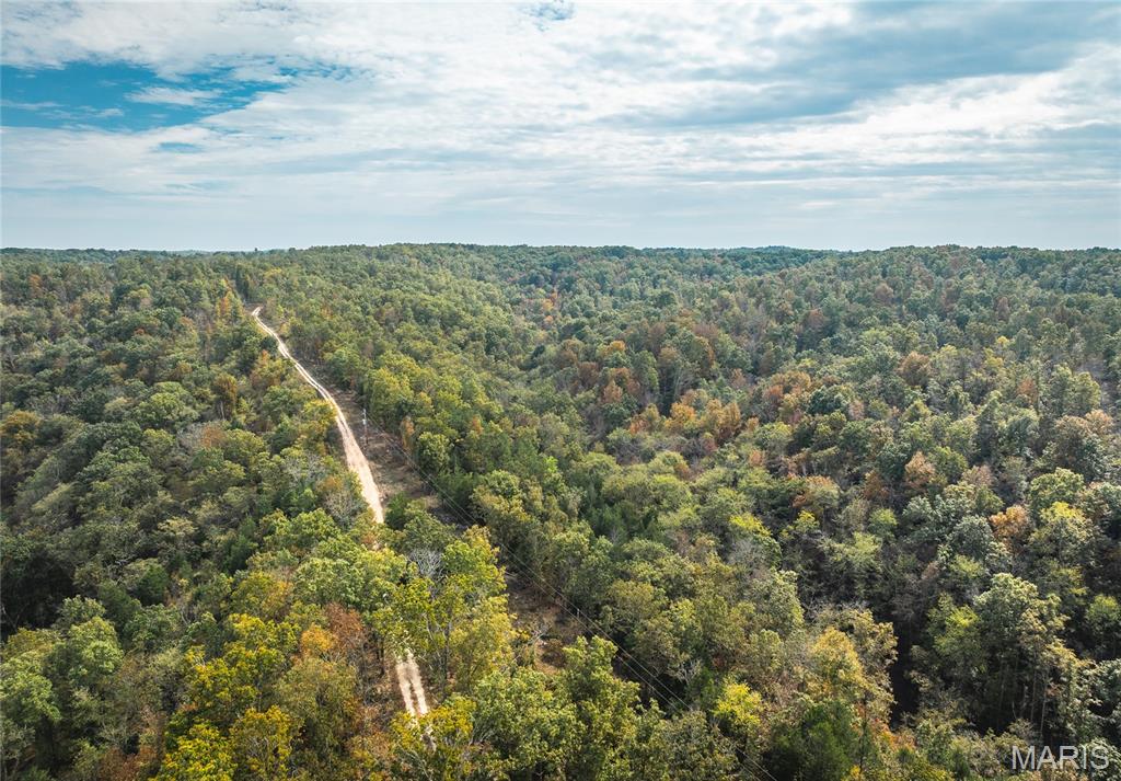 Photo 44 - Farm for sale – 1885  County Road 6255   Salem, MO
