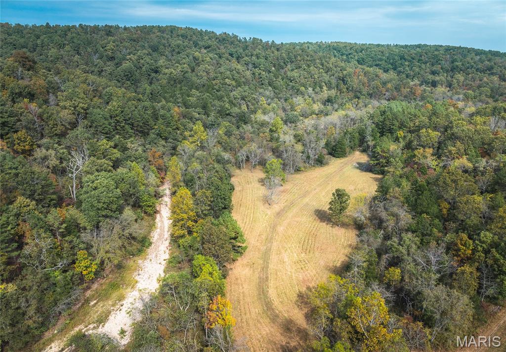 Photo 2 - Farm for sale – 1885  County Road 6255   Salem, MO