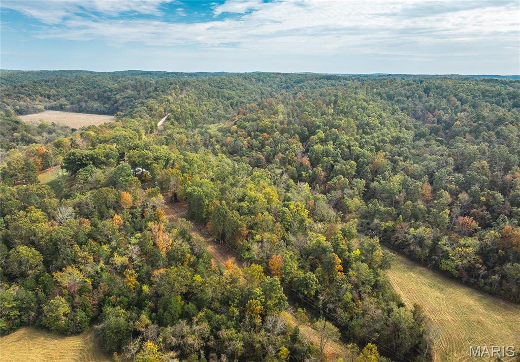Photo 54 - Farm for sale – 1885  County Road 6255   Salem, MO