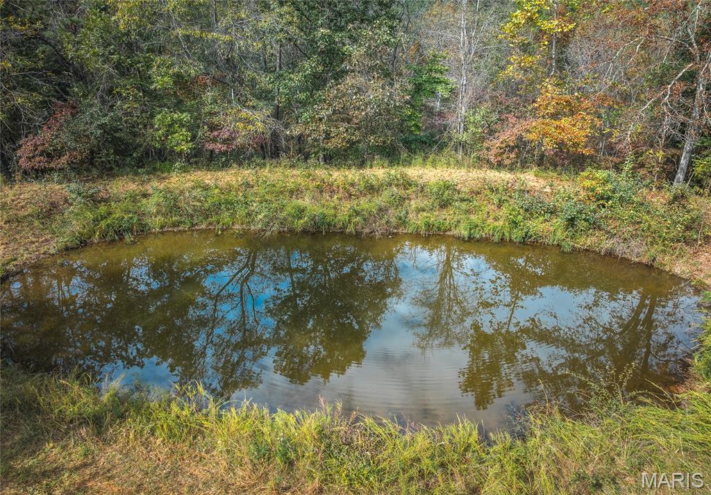 Photo 9 - Farm for sale – 1885  County Road 6255   Salem, MO