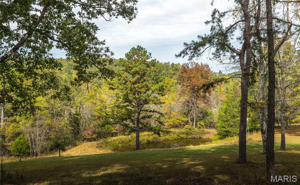 Photo 42 - Farm for sale – 1885  County Road 6255   Salem, MO