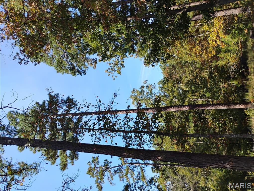 Photo 13 - Land for sale – TBD  County Road 5600   Salem, MO
