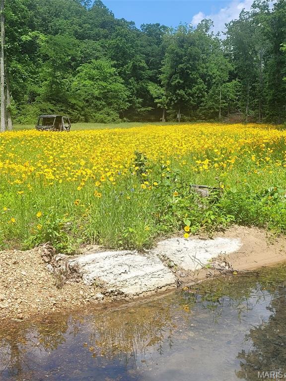 Photo 3 - Land for sale – TBD  County Road 5600   Salem, MO
