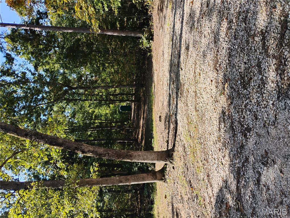 Photo 11 - Land for sale – TBD  County Road 5600   Salem, MO