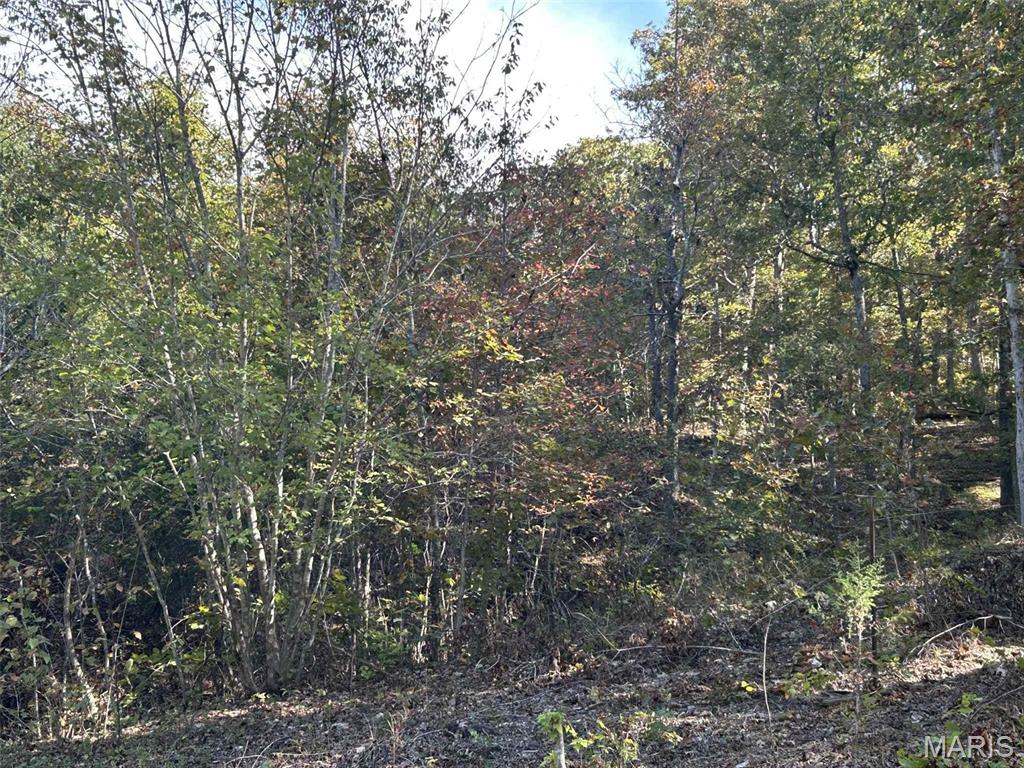 Photo 5 - Land for sale – 0  Mo-32   Salem, MO