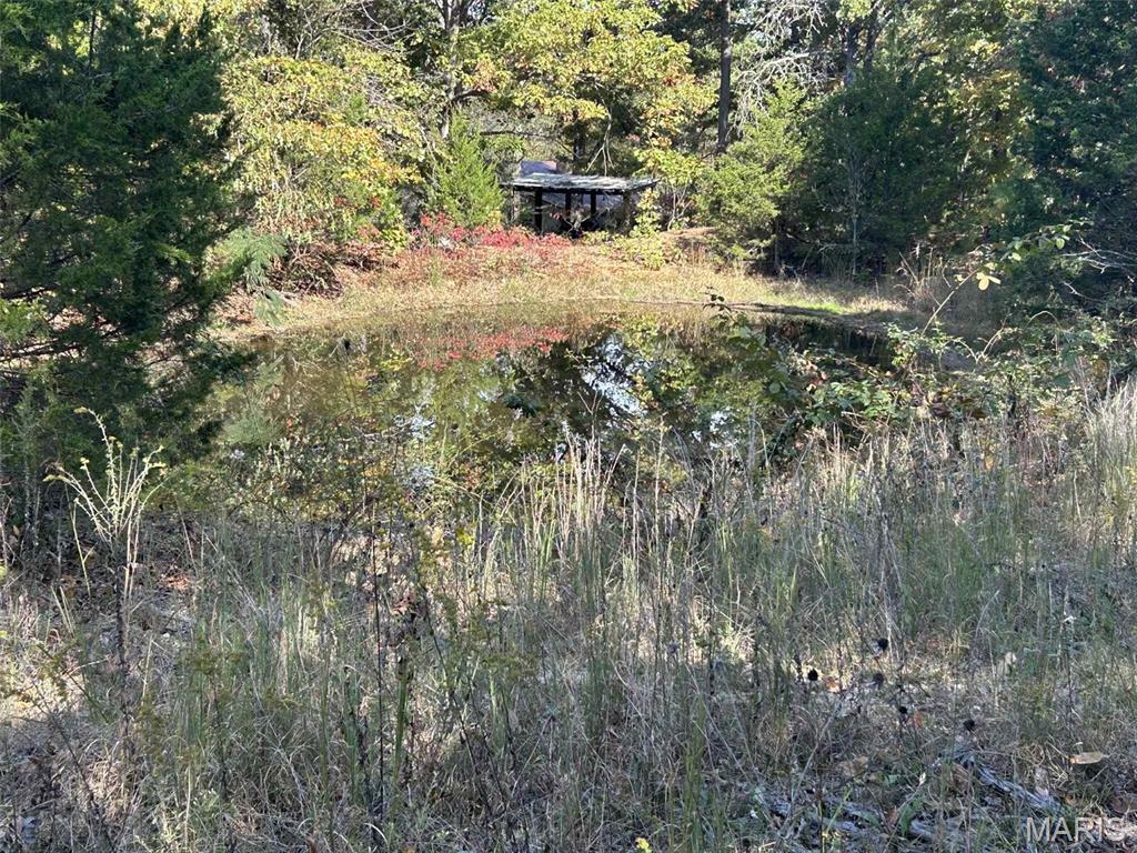 Photo 4 - Land for sale – 0  Mo-32   Salem, MO