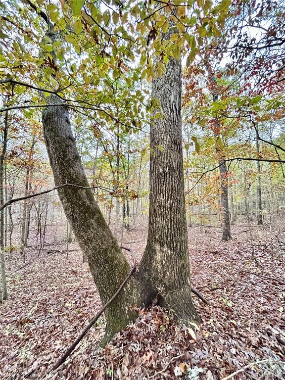 Photo 13 - Land for sale – TBD Tract 1  County Road 4215   Salem, MO