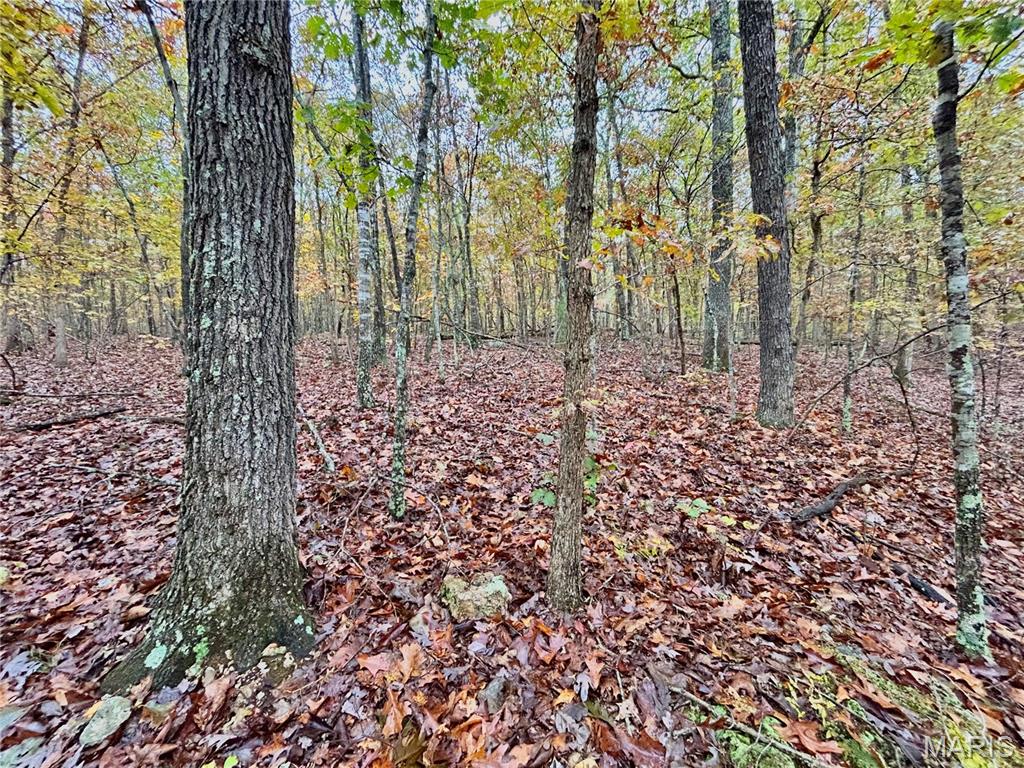 Photo 19 - Land for sale – TBD Tract 1  County Road 4215   Salem, MO
