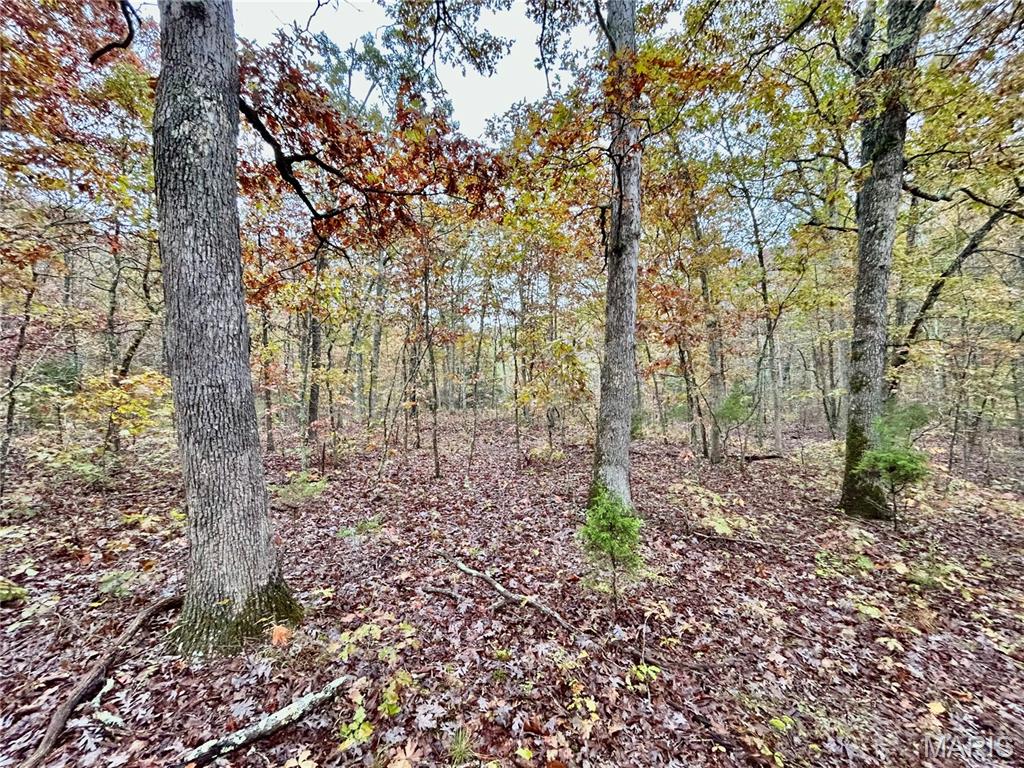 Photo 37 - Land for sale – TBD Tract 1  County Road 4215   Salem, MO