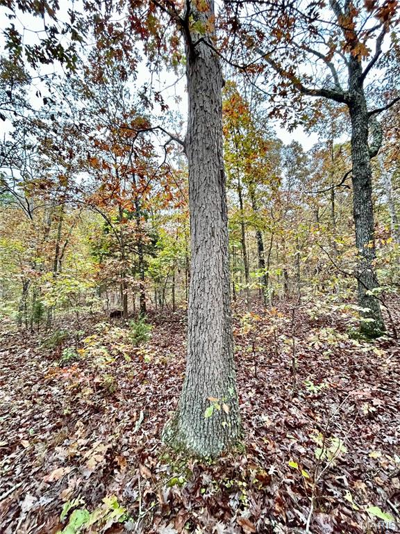 Photo 35 - Land for sale – TBD Tract 1  County Road 4215   Salem, MO