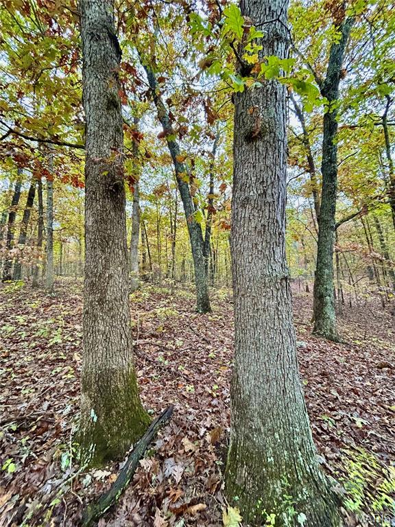 Photo 28 - Land for sale – TBD Tract 1  County Road 4215   Salem, MO