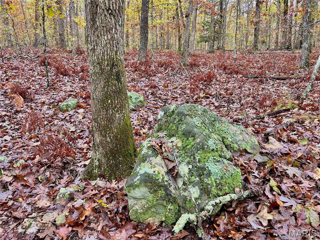 Photo 26 - Land for sale – TBD Tract 1  County Road 4215   Salem, MO