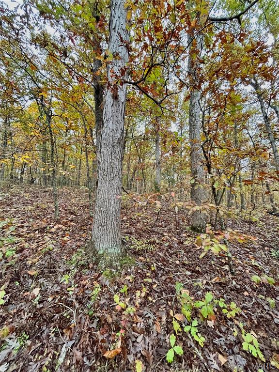 Photo 42 - Land for sale – TBD Tract 1  County Road 4215   Salem, MO