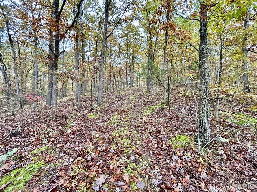 Photo 38 - Land for sale – TBD Tract 1  County Road 4215   Salem, MO