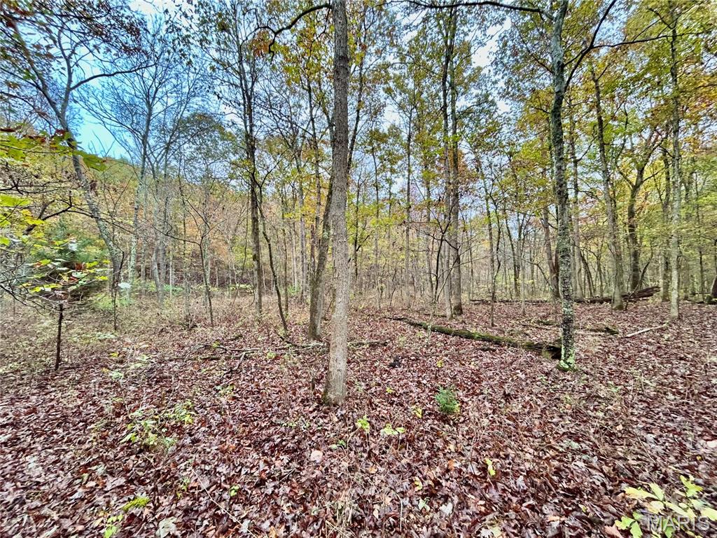 Photo 12 - Land for sale – TBD Tract 1  County Road 4215   Salem, MO