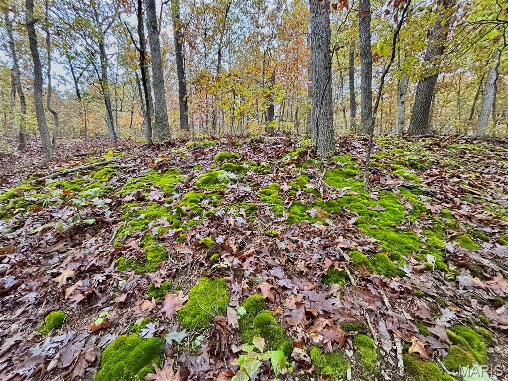 Photo 31 - Land for sale – TBD Tract 1  County Road 4215   Salem, MO