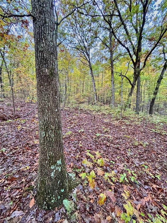Photo 16 - Land for sale – TBD Tract 1  County Road 4215   Salem, MO