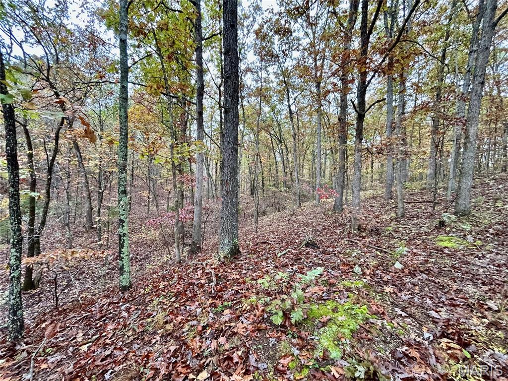 Photo 39 - Land for sale – TBD Tract 1  County Road 4215   Salem, MO