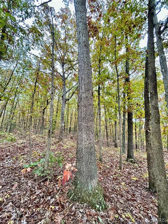 Photo 43 - Land for sale – TBD Tract 1  County Road 4215   Salem, MO