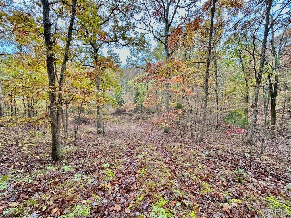 Photo 41 - Land for sale – TBD Tract 1  County Road 4215   Salem, MO