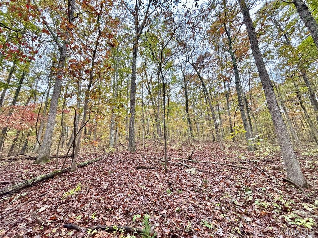 Photo 14 - Land for sale – TBD Tract 1  County Road 4215   Salem, MO
