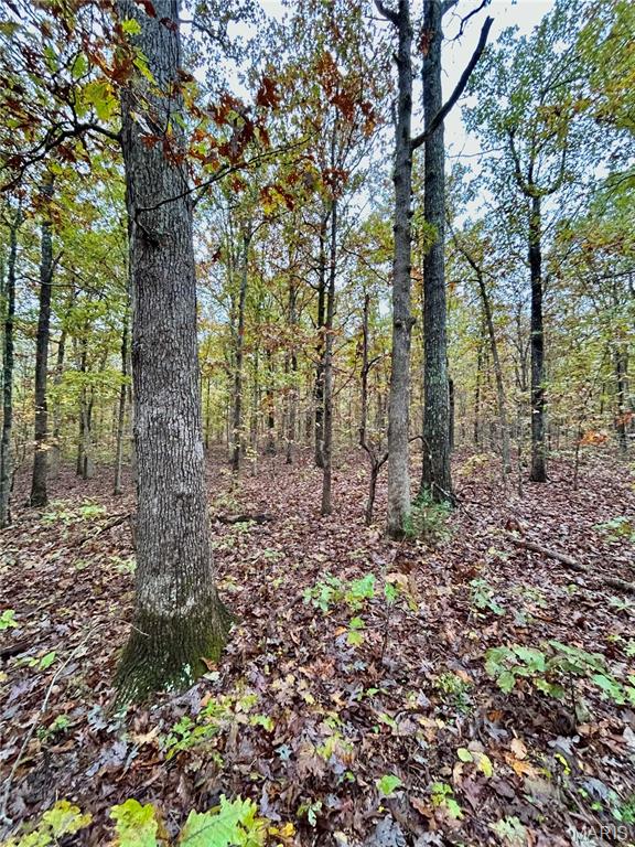 Photo 20 - Land for sale – TBD Tract 1  County Road 4215   Salem, MO