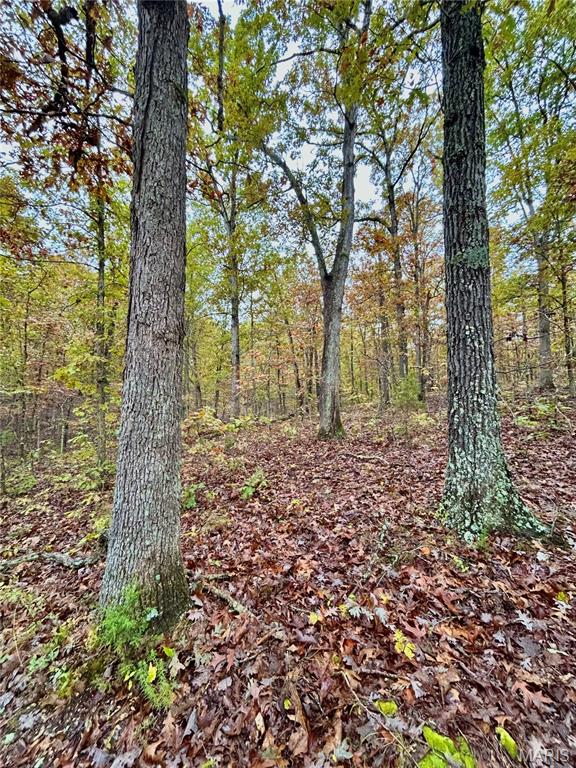 Photo 33 - Land for sale – TBD Tract 1  County Road 4215   Salem, MO