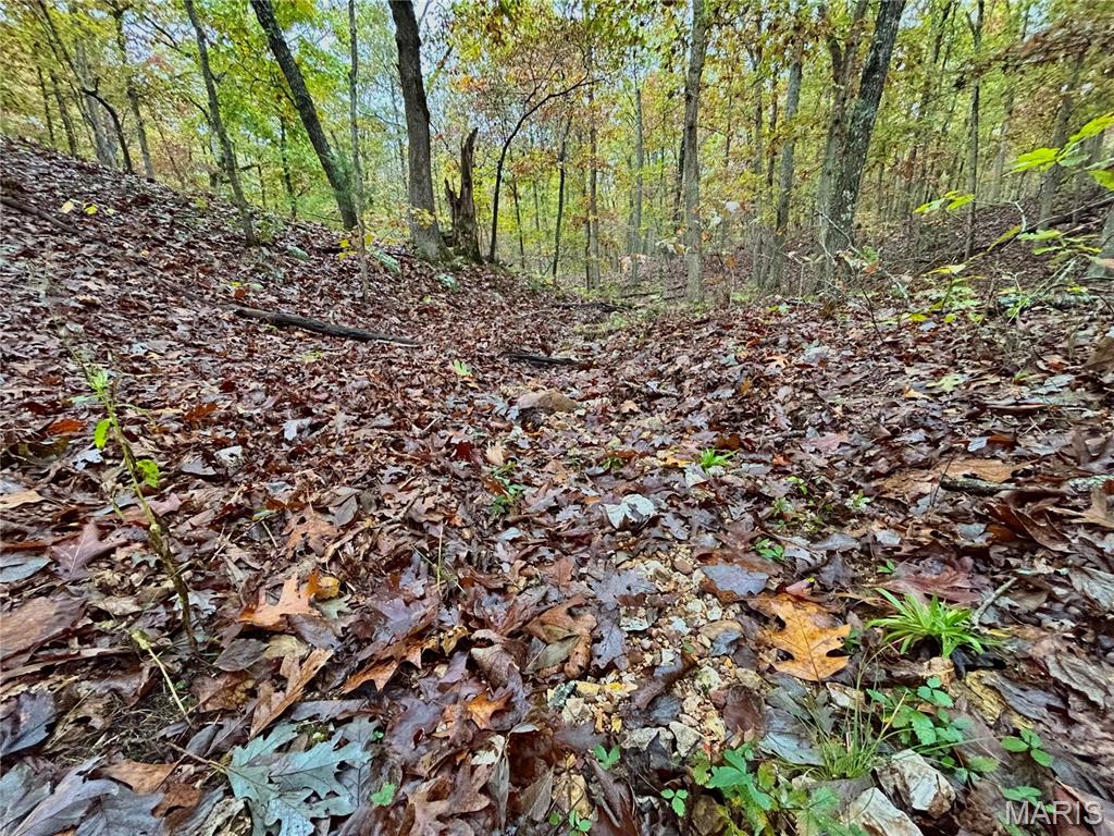 Photo 30 - Land for sale – TBD Tract 1  County Road 4215   Salem, MO
