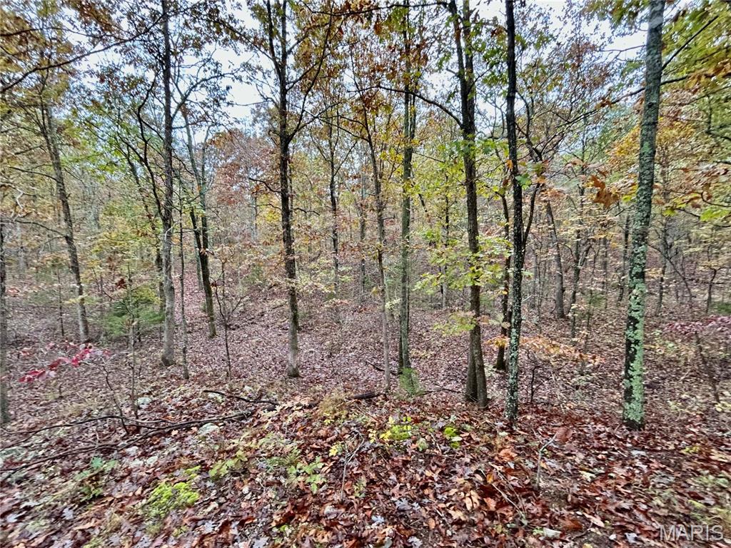 Photo 40 - Land for sale – TBD Tract 1  County Road 4215   Salem, MO