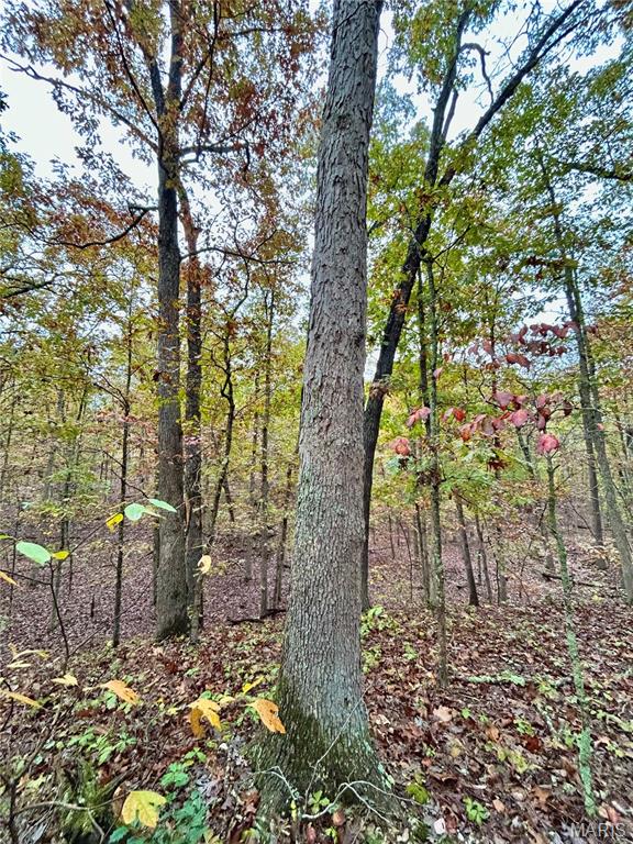 Photo 29 - Land for sale – TBD Tract 1  County Road 4215   Salem, MO