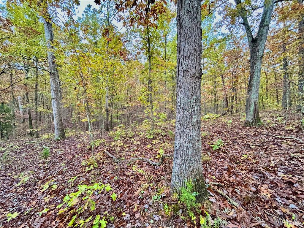 Photo 32 - Land for sale – TBD Tract 1  County Road 4215   Salem, MO