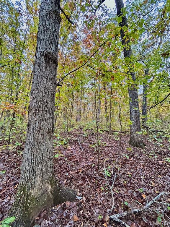 Photo 18 - Land for sale – TBD Tract 1  County Road 4215   Salem, MO