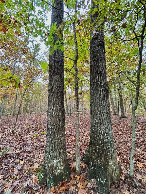 Photo 22 - Land for sale – TBD Tract 1  County Road 4215   Salem, MO