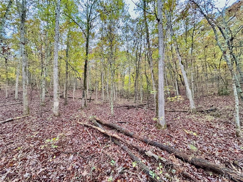 Photo 11 - Land for sale – TBD Tract 1  County Road 4215   Salem, MO