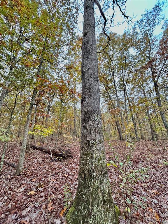 Photo 25 - Land for sale – TBD Tract 1  County Road 4215   Salem, MO