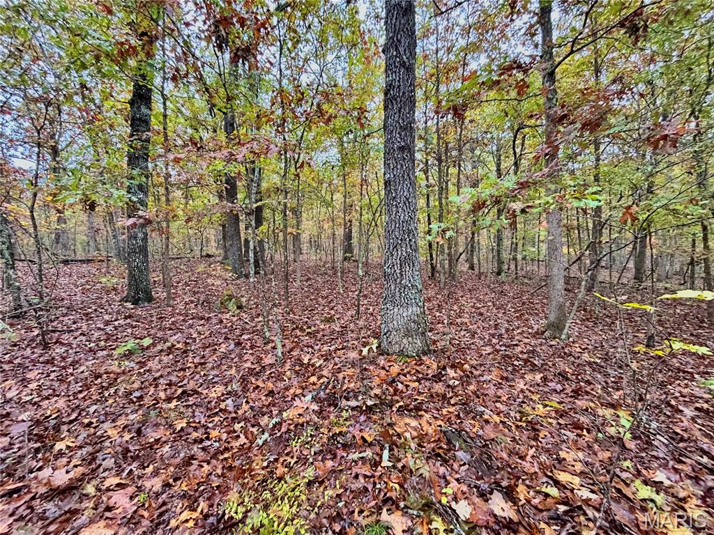 Photo 21 - Land for sale – TBD Tract 1  County Road 4215   Salem, MO