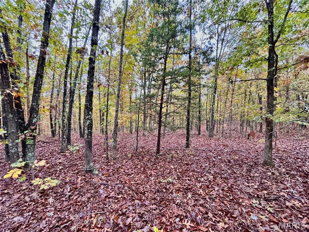 Photo 2 - Land for sale – TBD Tract 1  County Road 4215   Salem, MO
