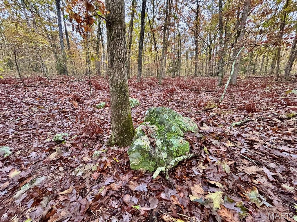 Photo 27 - Land for sale – TBD Tract 1  County Road 4215   Salem, MO