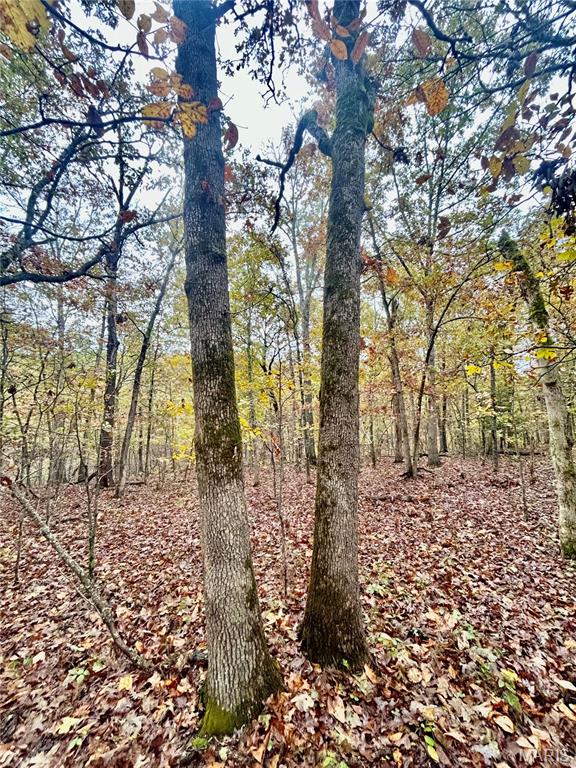 Photo 16 - Land for sale – TBD Tract 4  County Road 4215   Salem, MO