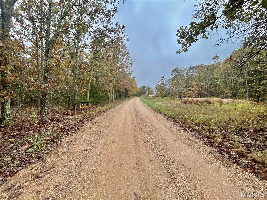 Land for sale – TBD Tract 4  County Road 4215   Salem, MO